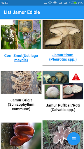 Pemburu Jamur Screen 3