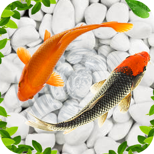 Koi Fish Live Wallpapers 3D - Apps on Google Play