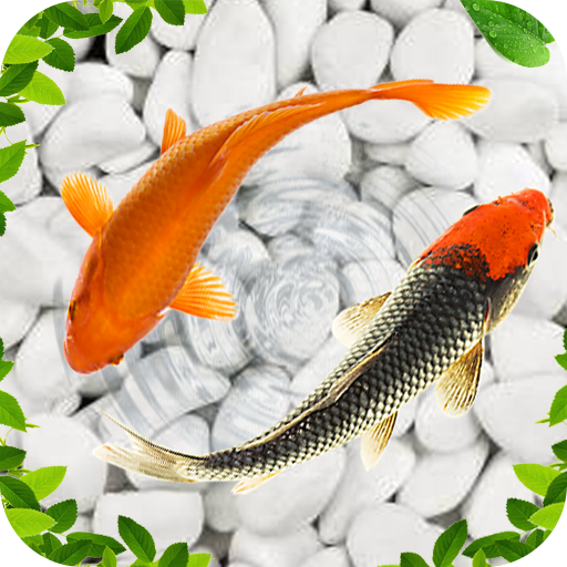 Download Koi Fish Live Wallpapers 3D (18).apk for Android 