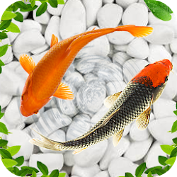 Download Koi Fish Live Wallpapers 3D (18).apk for Android 