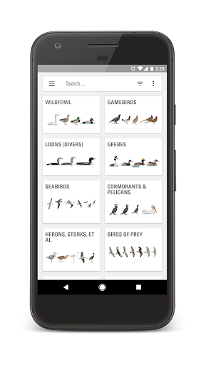Anteprima dell'app