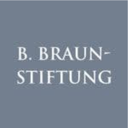 B. BRAUN-STIFTUNG logo