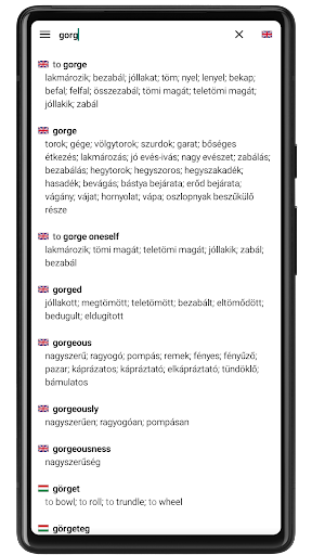 Android application Hungarian Dictionary screenshort