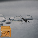 Cover Image of ダウンロード moving ants wallpaper  APK