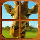 Zoo Animal Puzzle (FREE) icon