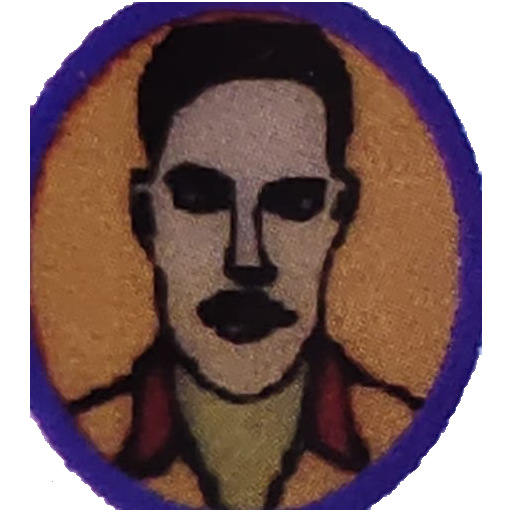 STNDN Public Inter College logo