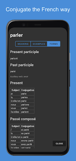 Metropolitan French Dictionary