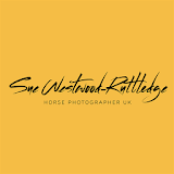 Horse Photographer icon