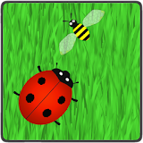 Ladybird Live Wallpaper icon