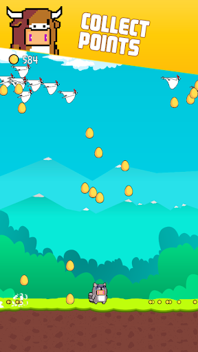 Angry Chicken Birds Eggs