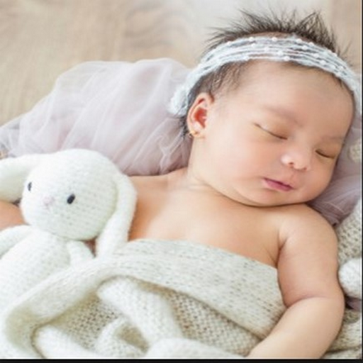Baby Photo Idea logo