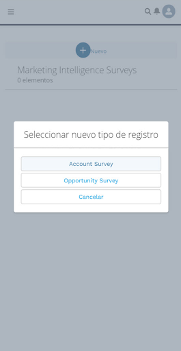 Screenshot of Mobil Consultor