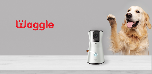 Petsmart furbo hot sale