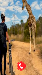 Giraffe Fake Video Call