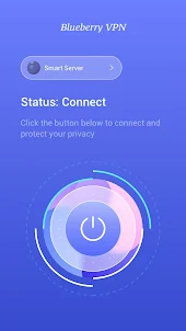 Blueberry VPN