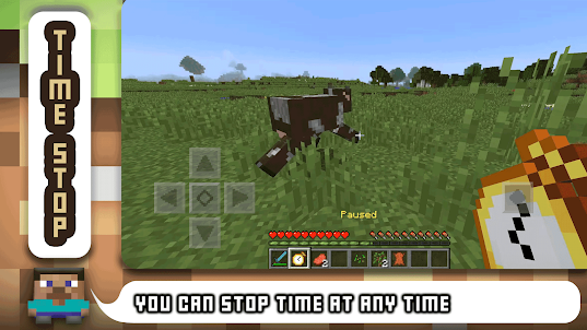 MINECRAFT BUT YOU CAN STOP TIME.. 