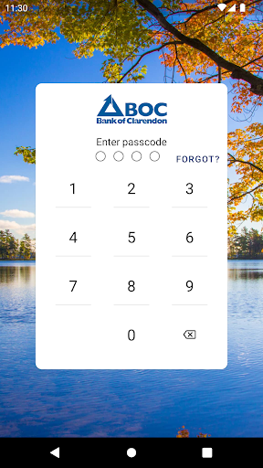 Android application The Bank of Clarendon screenshort