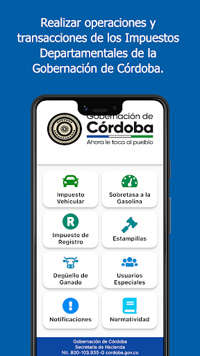 Impuestos Cordoba Screen 2