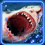 Cover Image of Tải xuống Sharks Live Wallpaper  APK