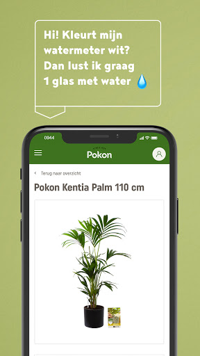 Pokon Screen 3