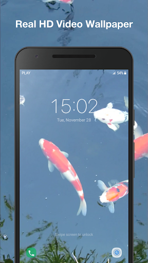 Koi Fish Live Wallpaper Pro Screen 3
