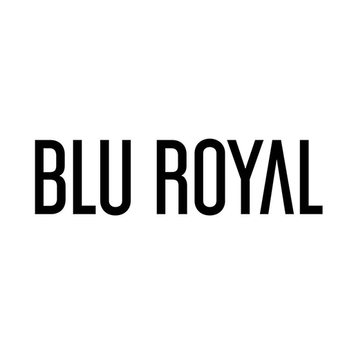 BLUROYAL B2B logo