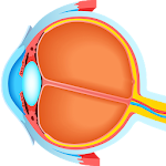 Cover Image of Download Ophthalmology Puzzles 1.1.2 APK