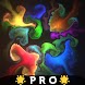 Fluid Pro : オフライン リラックス アート - Androidアプリ