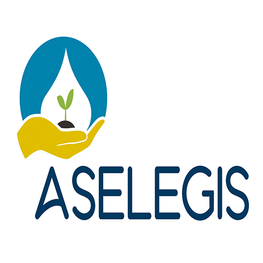 ASELEGIS 1.0 Icon