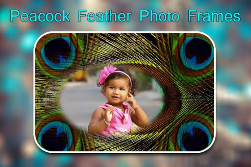 Android application Peacock Feather Photo Frames screenshort