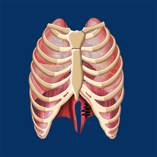 Respiration ID دانلود در ویندوز