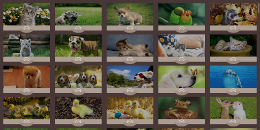 Cute Pets Puzzle Screenshot 4 - AppWisp.com
