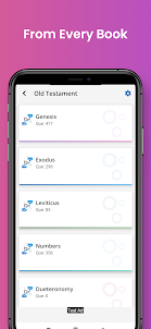 Bible Quiz Pro (By Chapter)