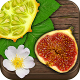 Exotic Fruits & Vegetables PRO icon
