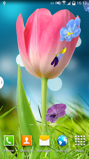 Android application 3D Flowers Live Wallpaper Lite screenshort
