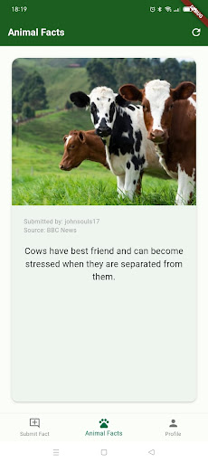 Android application Animal Facts App screenshort