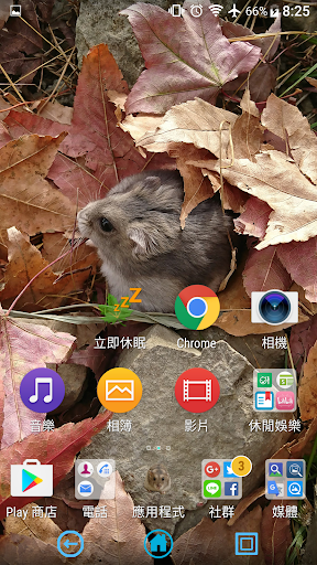 可愛倉鼠主題 Screen 2