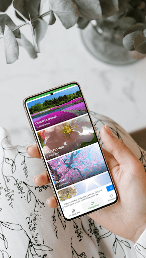 Spring Wallpapers 2024 Screen 2