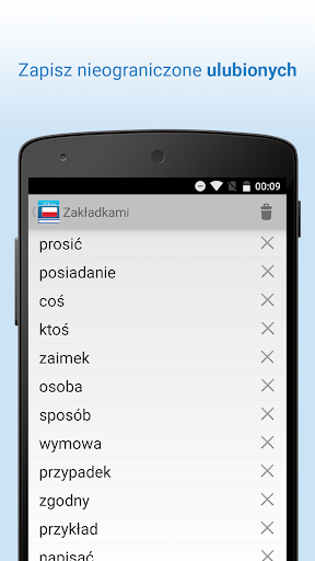 Polski Słownik Screen 3