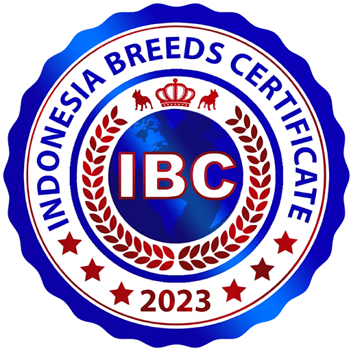 IBC logo