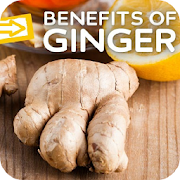 Top 44 Health & Fitness Apps Like Uses & Benefits of Ginger Root - Best Alternatives