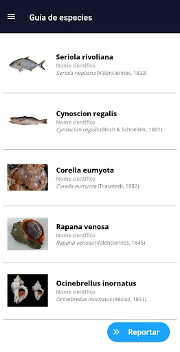 Redogal Screen 2