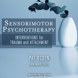 Ikonbilde Sensorimotor Psychotherapy: Interventions for Trauma and Attachment