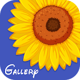 Gallery Ad Free icon