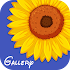 Gallery Ad Free1.0 (Paid)