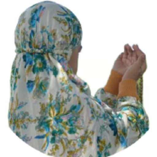 تعقيبات logo