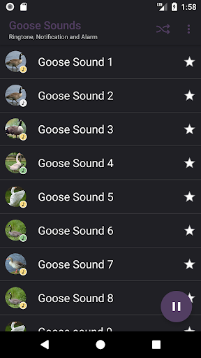 Goose Sounds Screen 2