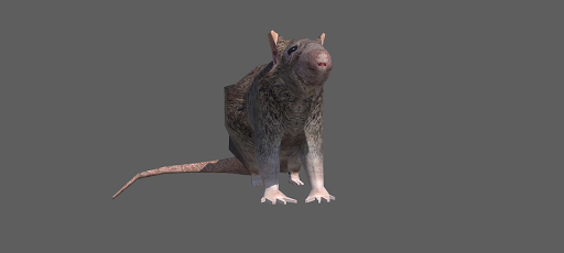 Horizontally Rotating Rat .Exe Screen 2