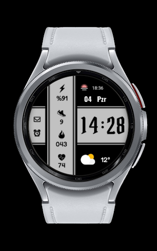 CNRwatch012 screenshot 7