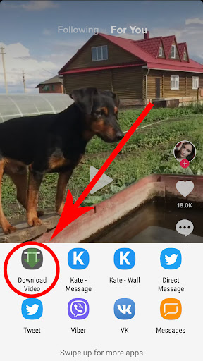 TT Video Downloader Screen 3